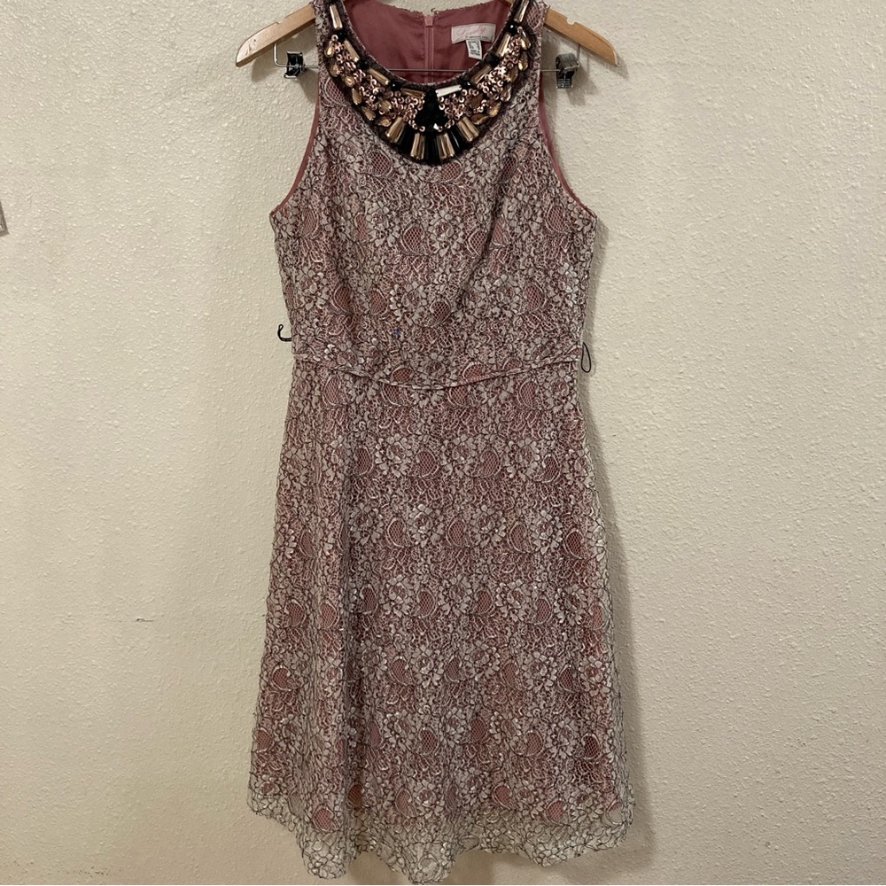 Adrianna Papell Women’s A-Line dress Lace Sleeveles Pink Sz 8